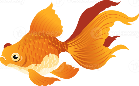 Goldfish PNG
