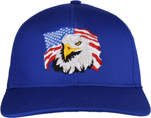 Patriot Eagle PNG