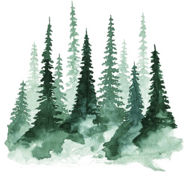 Forest PNG