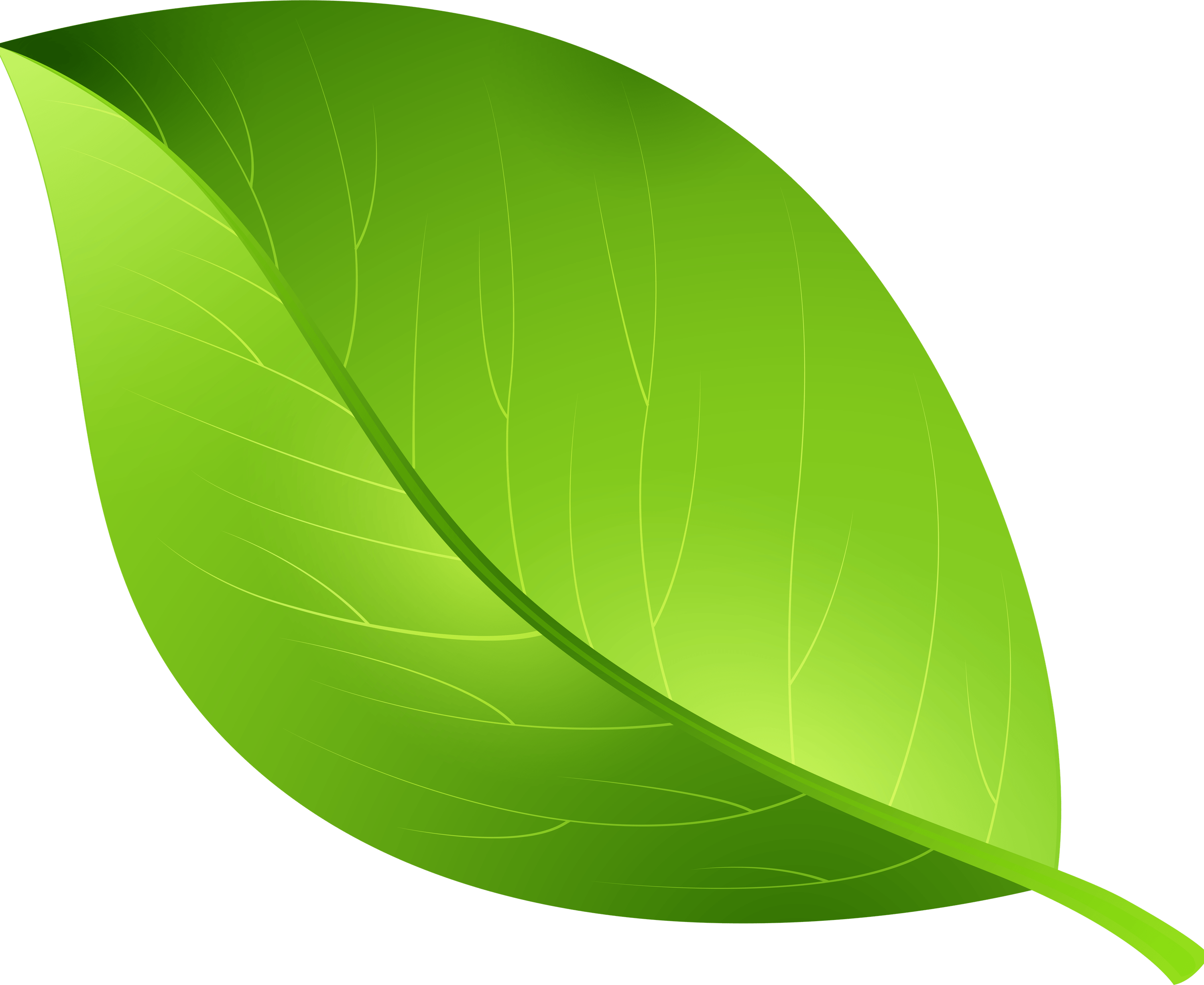 Cartoon Leaves PNG