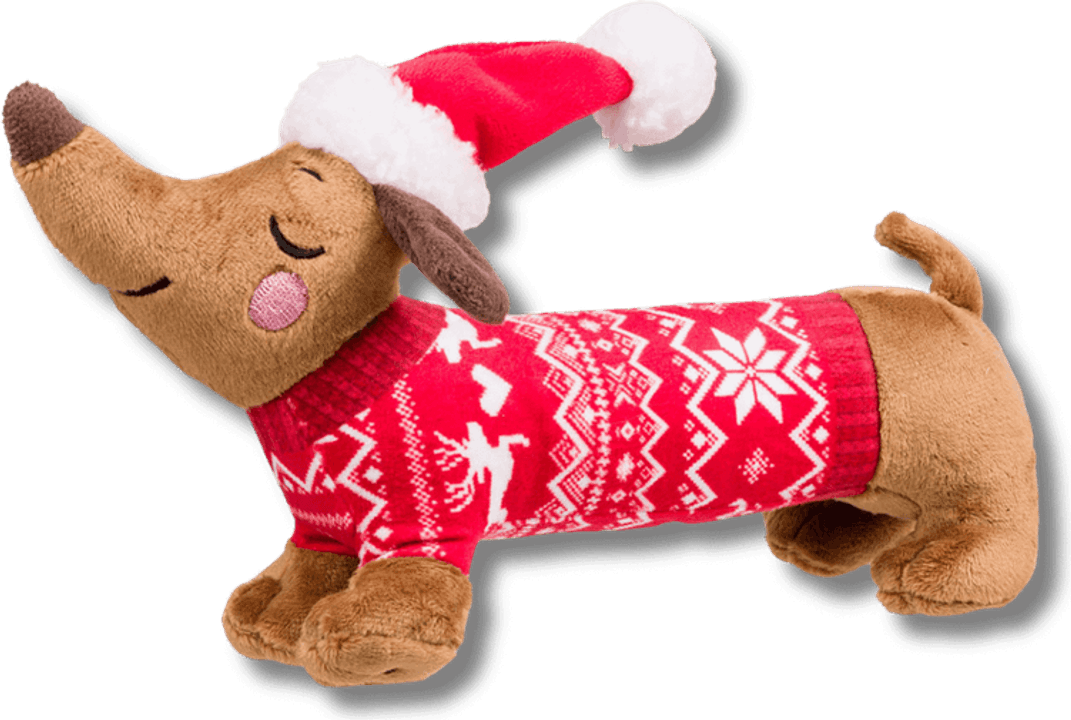 Dachshund Christmas PNG
