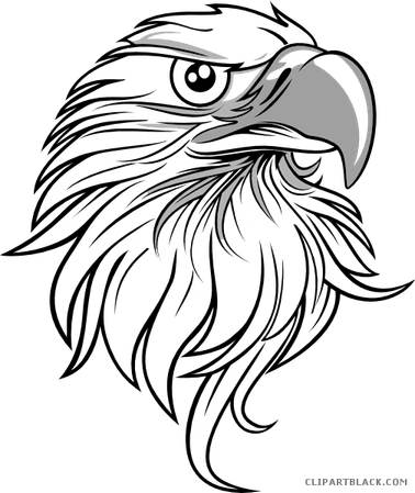 Eagle Black And White PNG