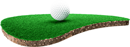 Golf Grass PNG