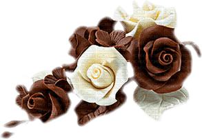 Chocolate Rose PNG