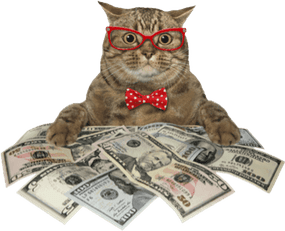Cat With Money PNG