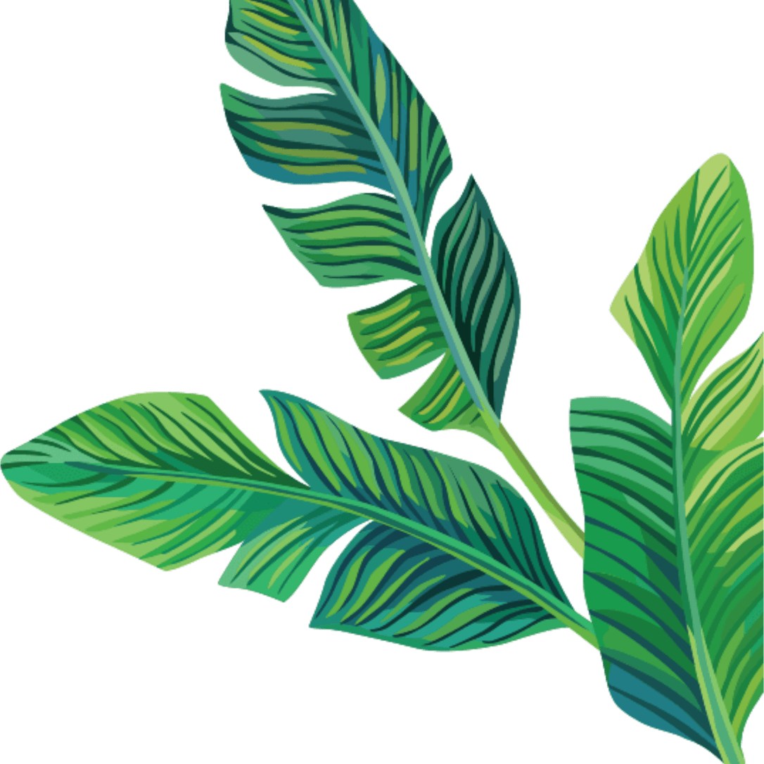 Green Aesthetic PNG