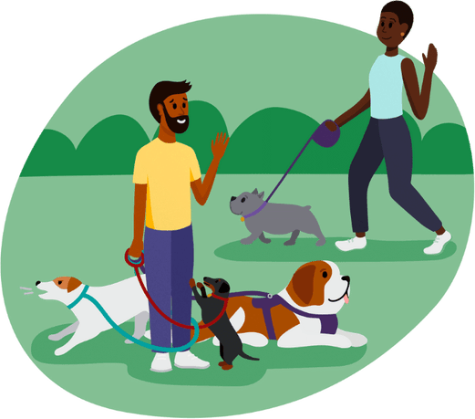 Walking Dog PNG