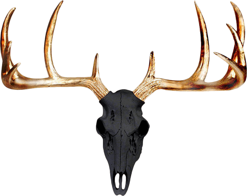 Deer Skull PNG