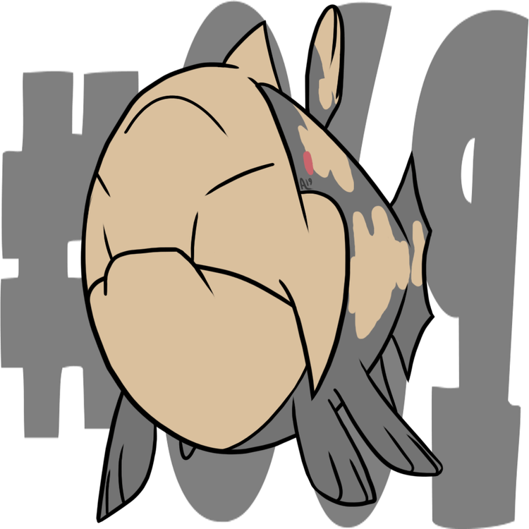 Relicanth Pokemon PNG