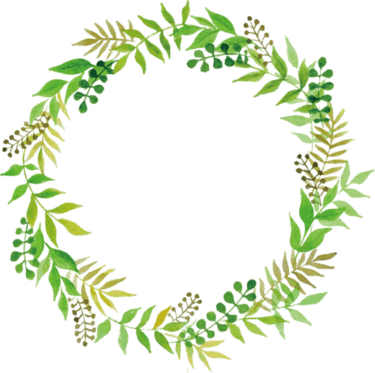 Flower Leaf Border PNG
