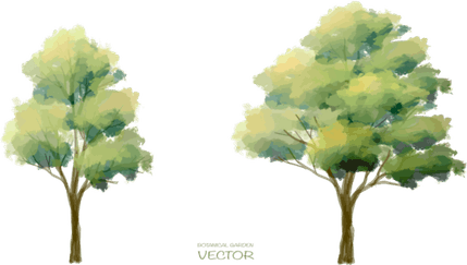 Watercolor Palm Tree PNG