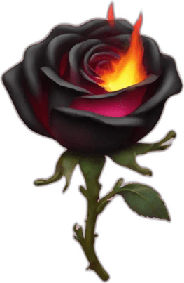 Burning Rose PNG