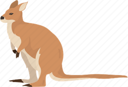 Wallaroos PNG