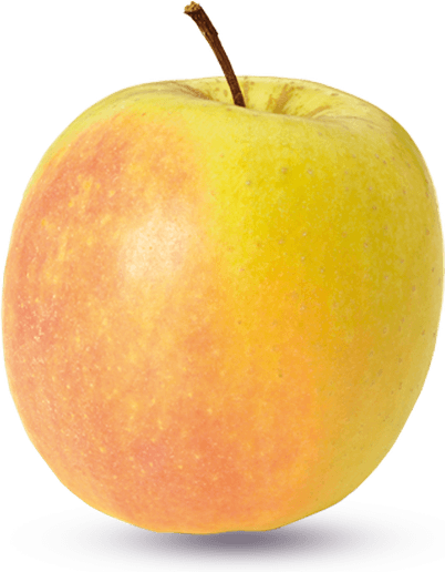 Golden Apple PNG