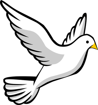 Funeral Dove PNG