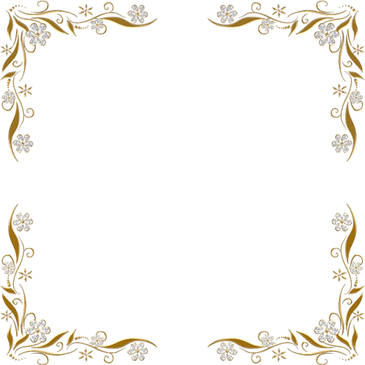 Golden Floral Border PNG