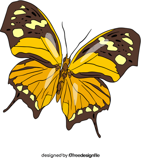 Butterfly Art PNG