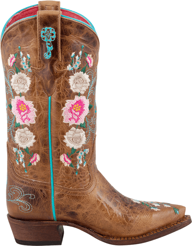 Cowboy Boots PNG