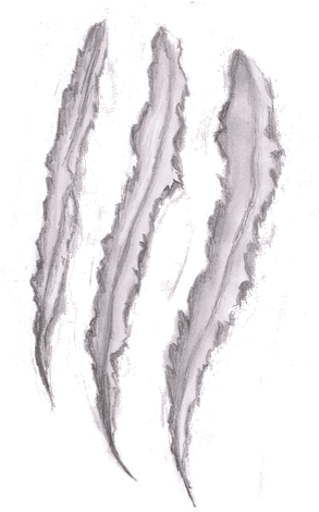 Claw Mark PNG