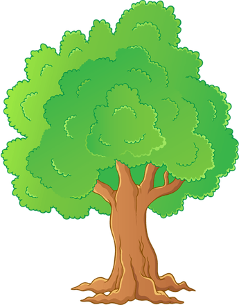 Green Tree PNG