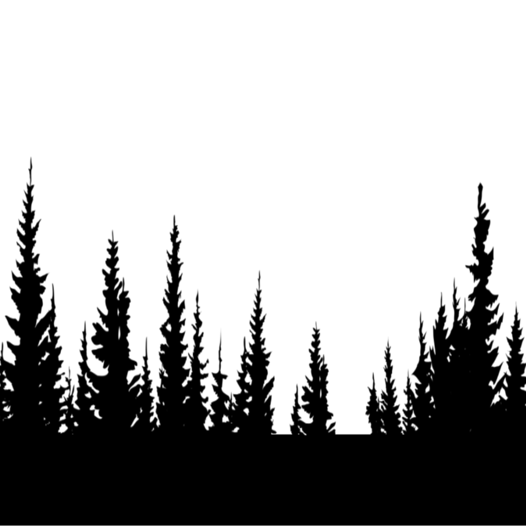 Picsart Forest PNG