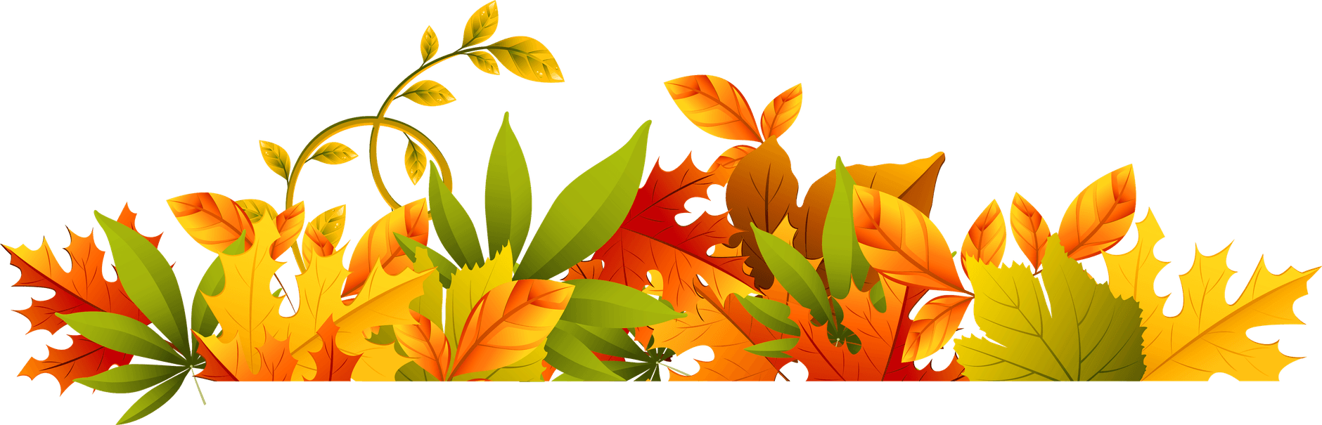 Leaves Border PNG