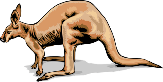 Wallaroos PNG