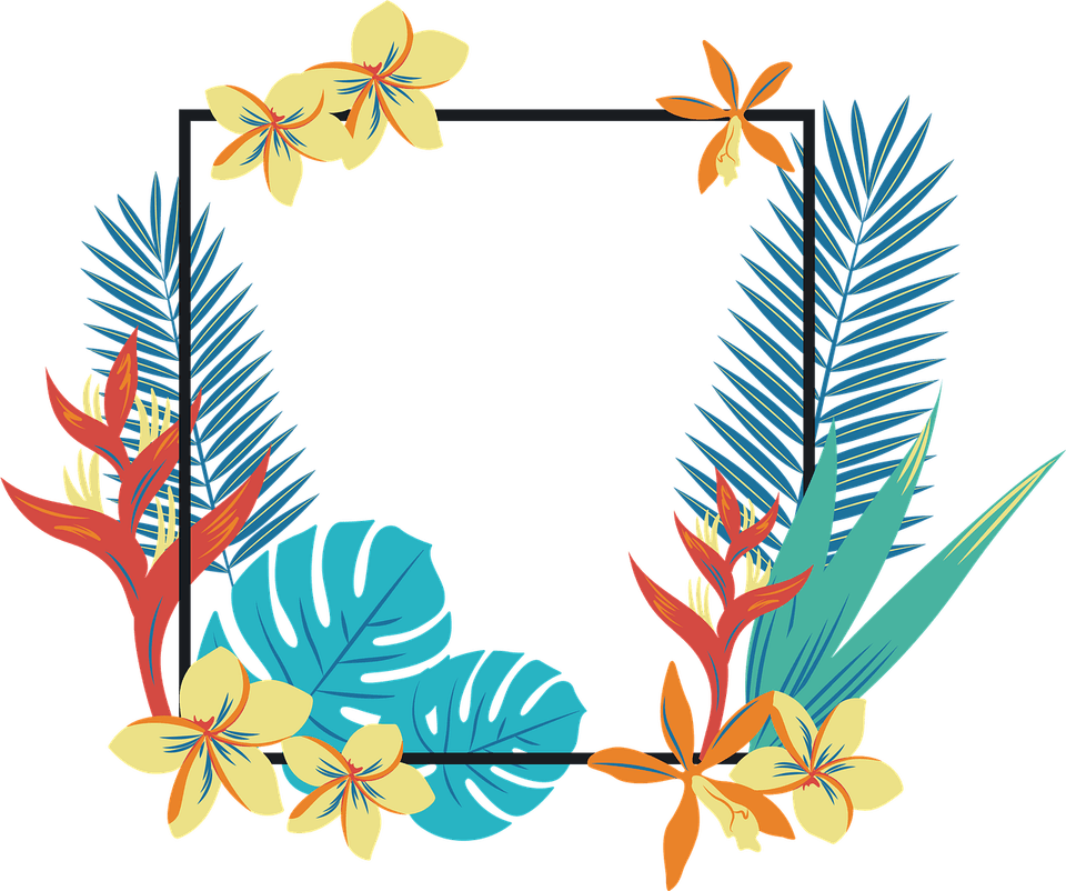 Tropical Border PNG