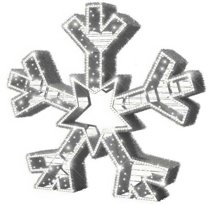 White Snowflake PNG