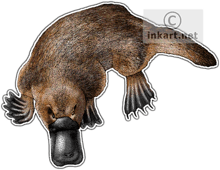 Platypus PNG