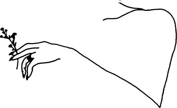 Aesthetic Theme Minimal PNG