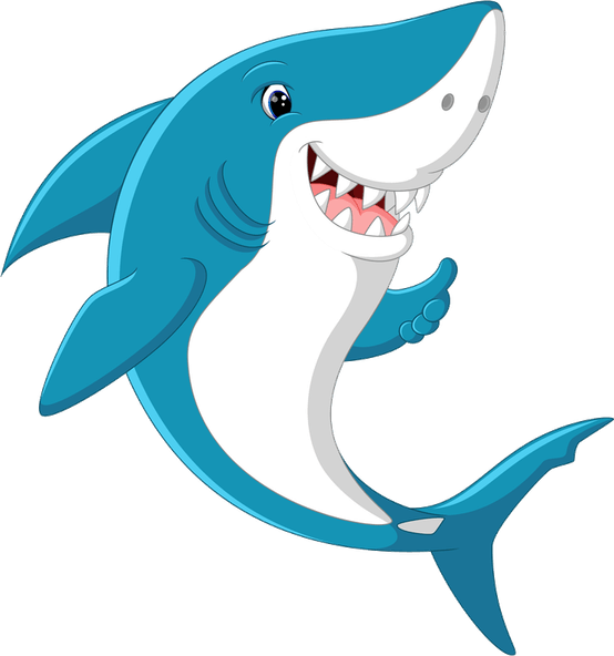 Shark Cartoon PNG
