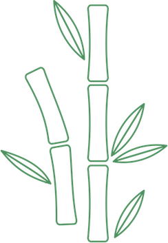 Bamboo Grass PNG