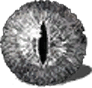 Dragon Eyes PNG