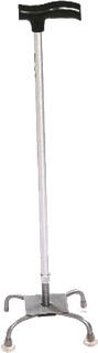 Walking Stick Cane PNG