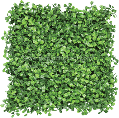 Green Wall PNG