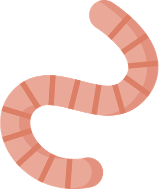 Worm PNG