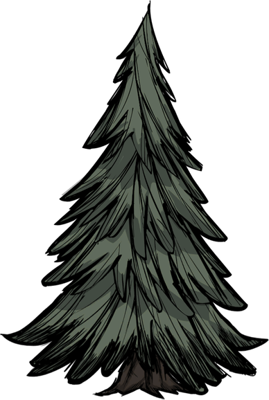 Evergreen Tree PNG