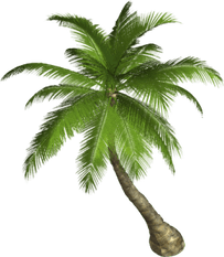 Nature PNG