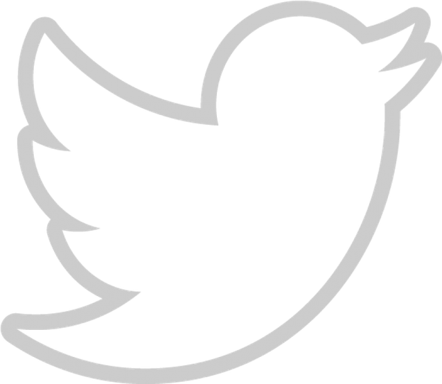 Twitter Bird PNG