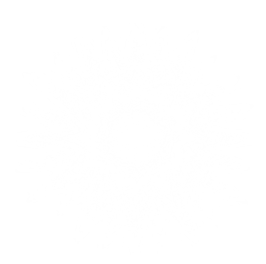 White Light PNG