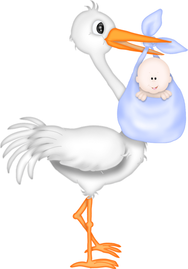 Stork Baby PNG