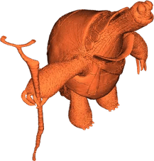 Grand Master Oogway PNG