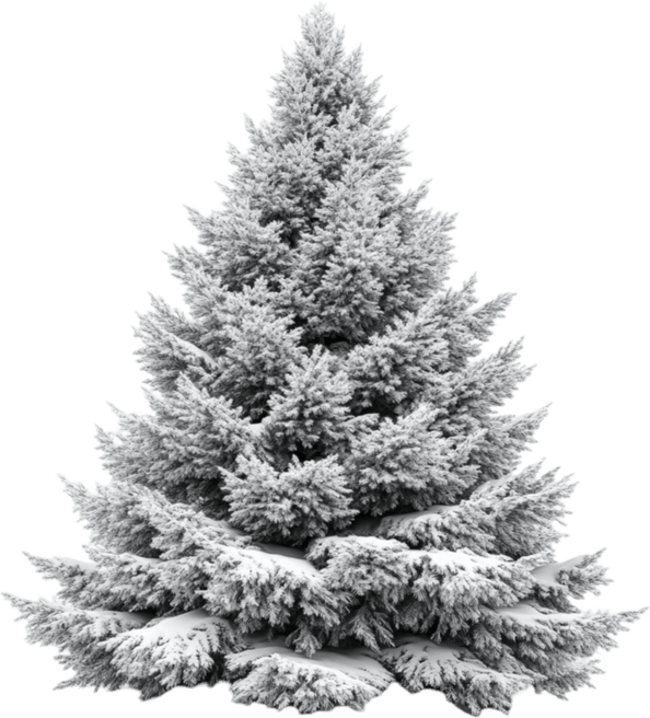 Snow Covered Tree PNG