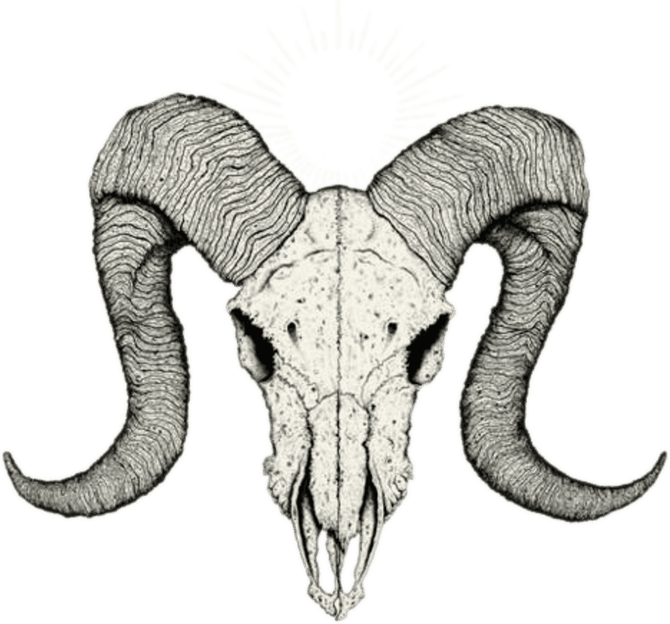 Goat Skull PNG
