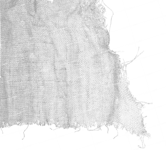 Fabric PNG