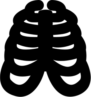 Rib Cage PNG