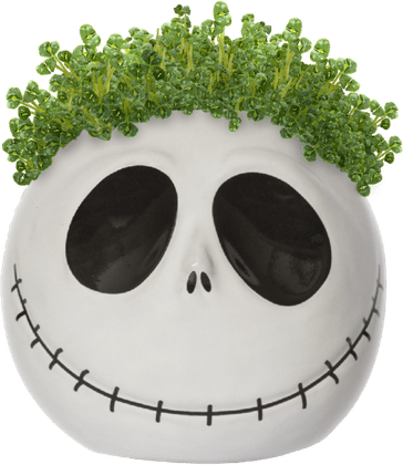 Jack Skellington Christmas PNG