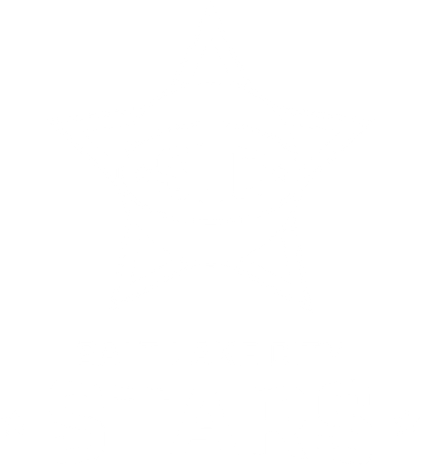 Salt Lake City Stars PNG