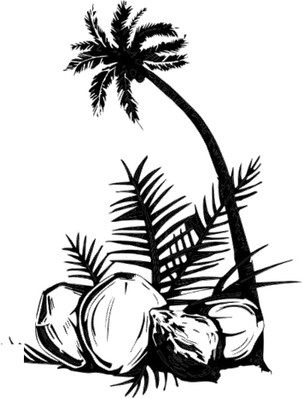 Coconut Palm Tree PNG